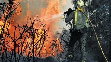 Curso de prevención y defensa contra incendios forestales 16h